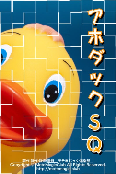 ���ۥ��å�SQ������Ŵ���ݾ�100%��