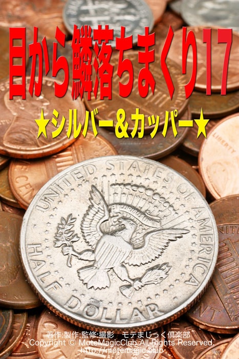 目~鱗落ちまくり17 (シルバー&カッパー )