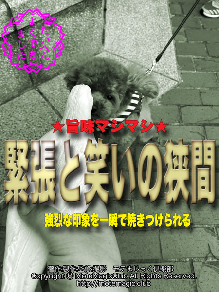 ��ĥ�ȾФ��ζ��֡�����̣�ޥ��ޥ���