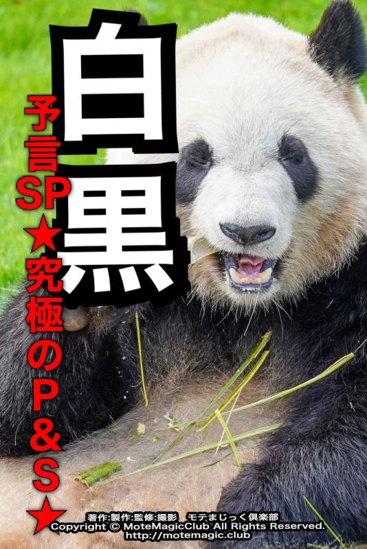 &#10084;&#65039;ͽSP ˤP&S