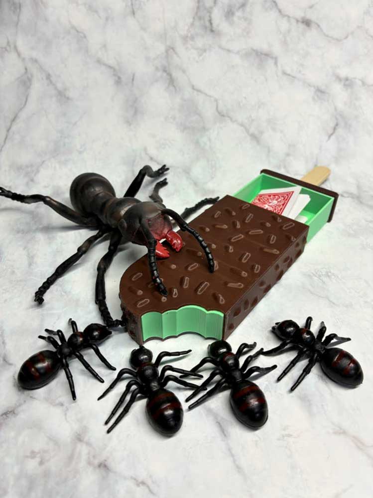 �������������С�����Ŵ�Ĥɤä���� 