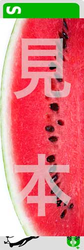��•Suica���������ơ���R18Ŵ�Ļ����
