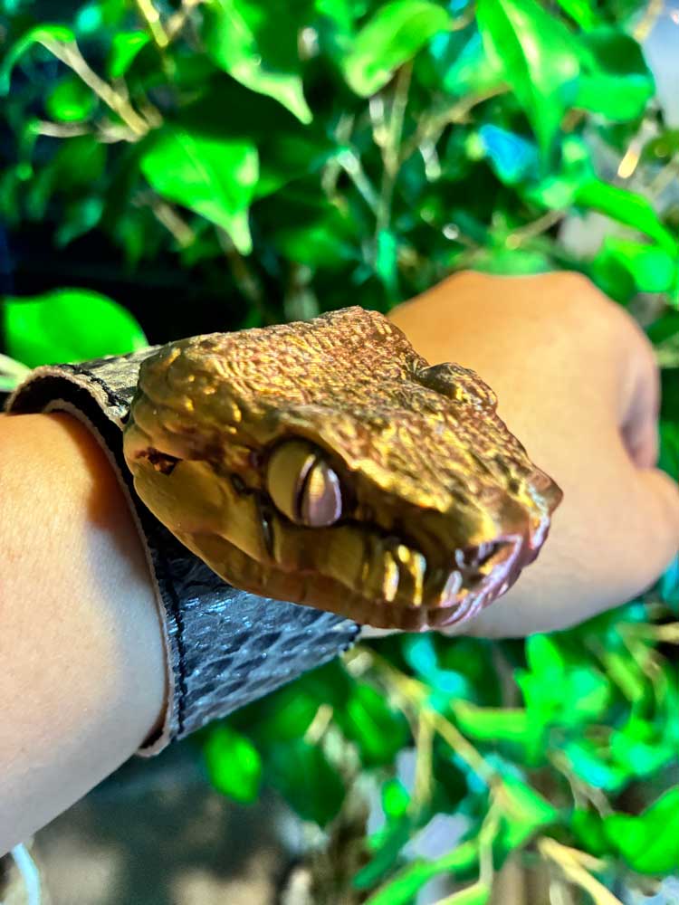 The Snake Hand�� ������������