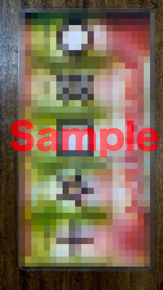 �Ƕ�ESP�ǥХ����������ݾ�!!��