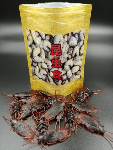 ����򾤾夬�죲��������ȴ����