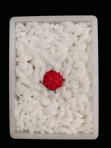 NEW���δ������������դ�����̣��