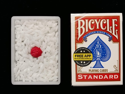 NEW���δ������������դ�����̣��