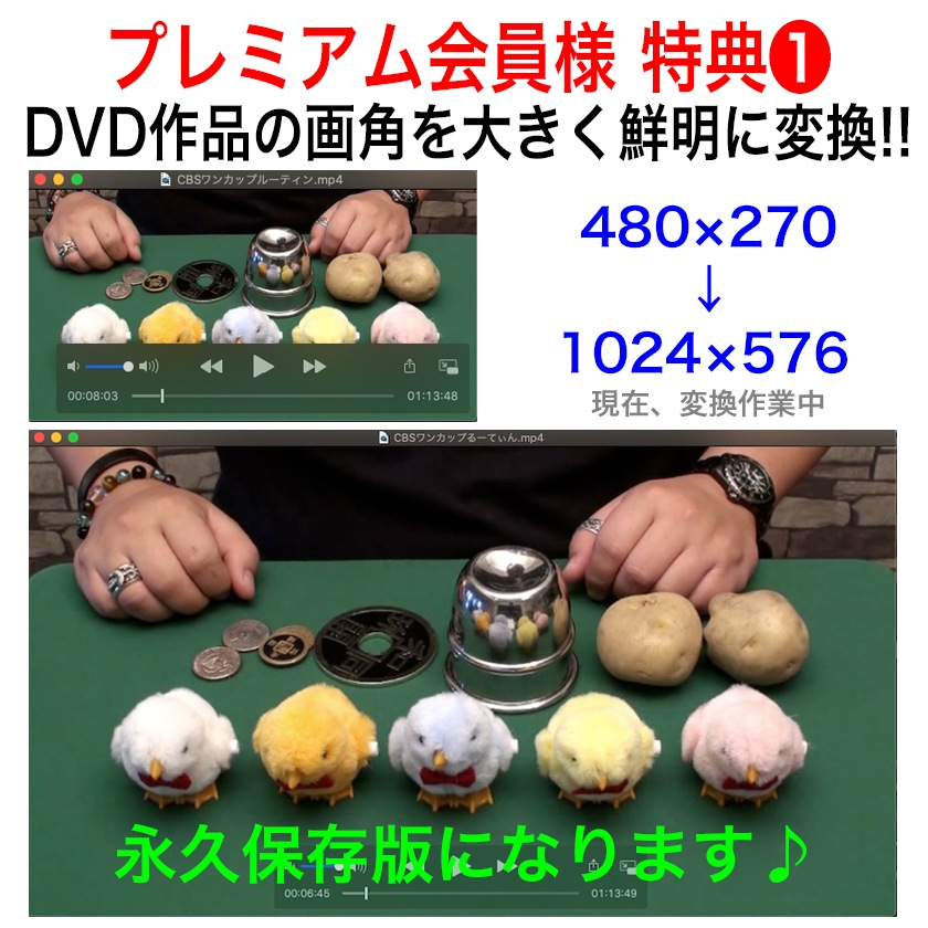 �ץ�ߥ������̲����������ץ���