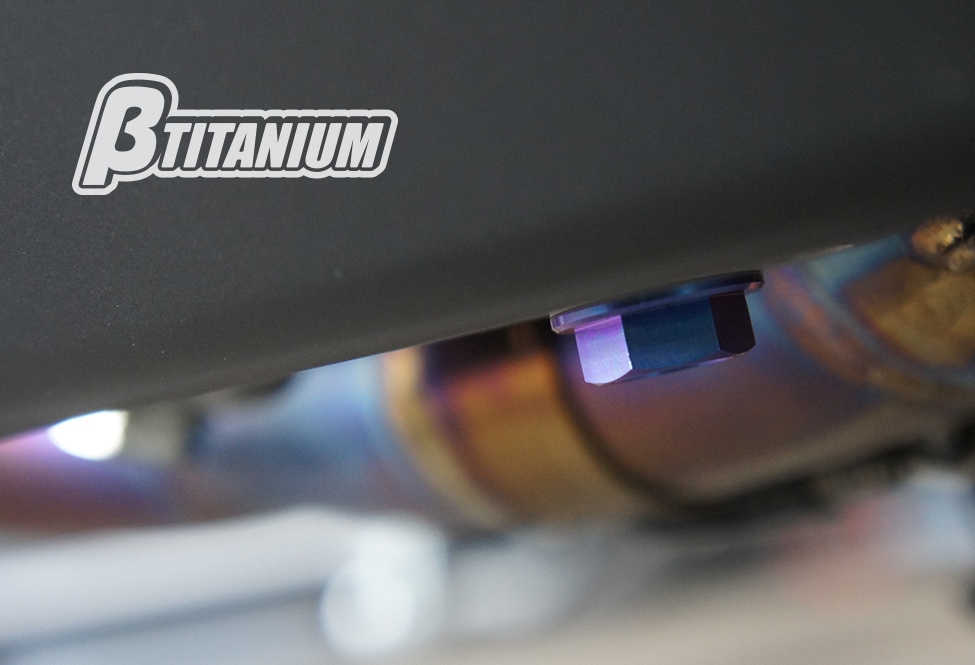 ⭐️モンブラン⭐️総チタン鉱張りTitaniumチタノ⭐️No17220入手困難モデル 最終価格 アガベ チタノタ FO-022 金鑽 中斑 子株1 - メルカリ