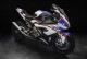 �ڥ�����30%OFF��LUIMOTO (�륤���) ���󥯥꡼��/Sport �ե륭�å� S1000RR 09-19/S1000R 14-18/S1000R 16/S1000R 17-20