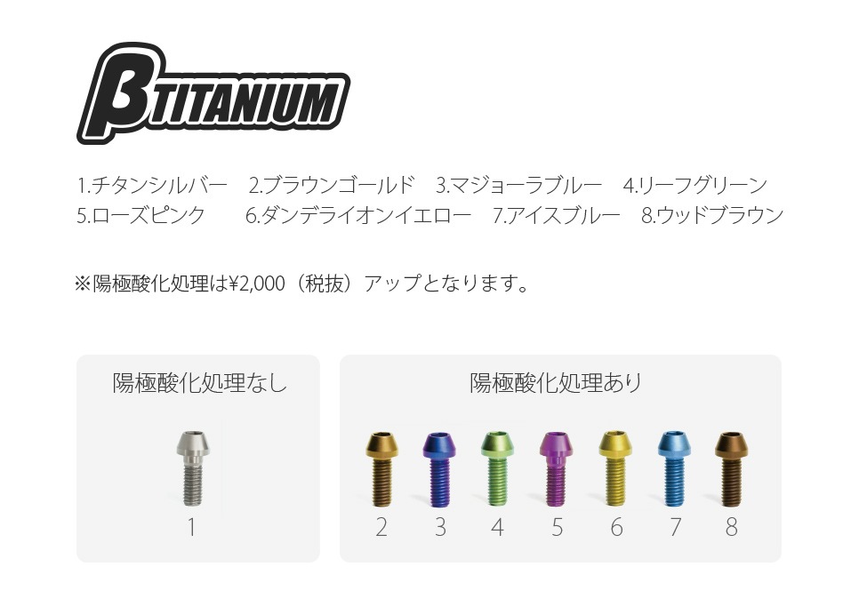 βTITANIUM（ベータチタニウム） KAWASAKI ZX-6R (13-18