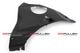 FULLSIX �����ɥѥͥ� (���������) PanigaleV4/S (25-) 