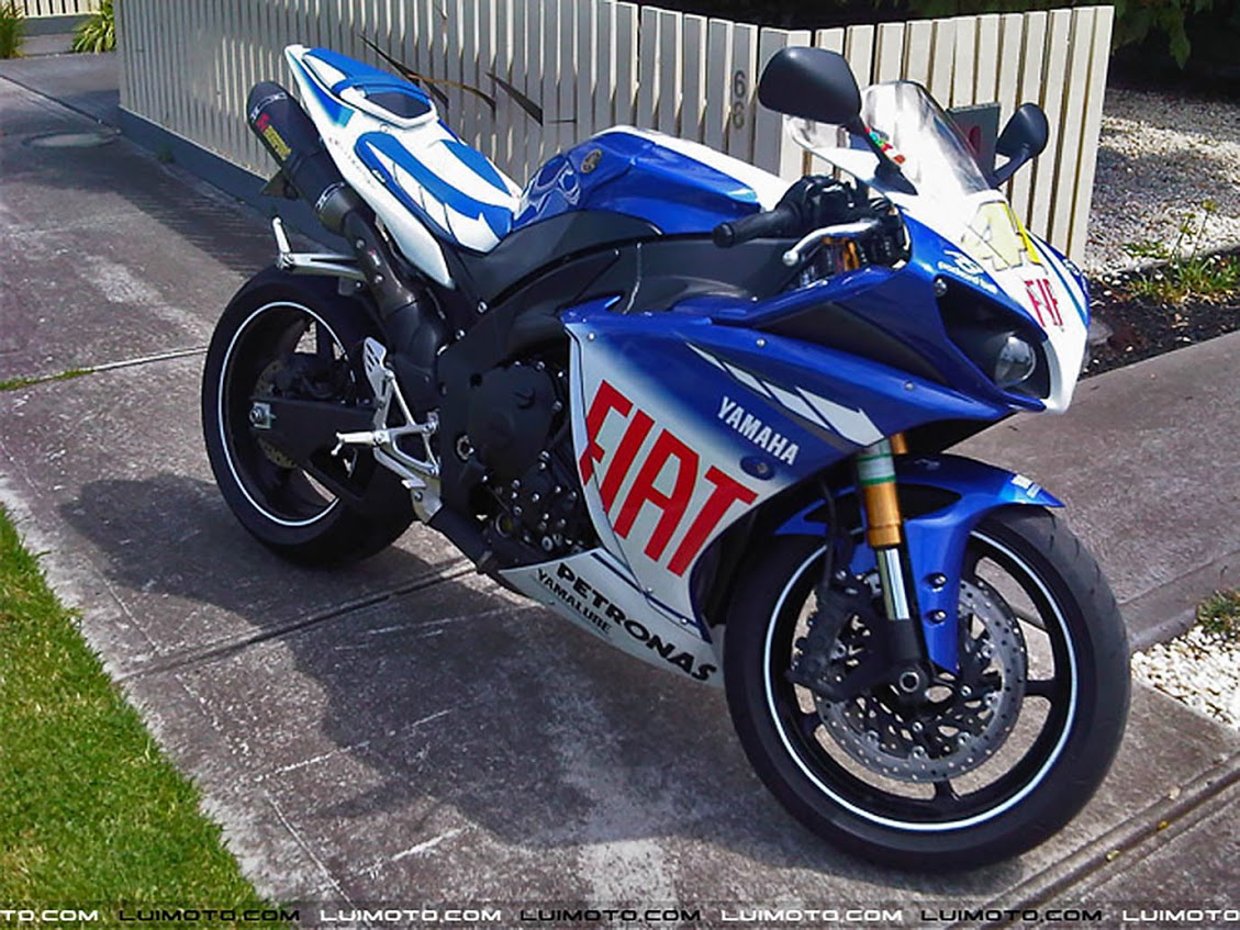 LUIMOTO (ルイモト) Limited Edition/フロントシートカバー YAMAHA YZF 