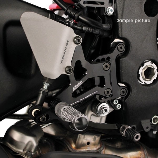 ヤマハバックステップValter Moto製ヤマハFZ8 Valter Moto (バルターモト） バックステップ ストリートタイプ