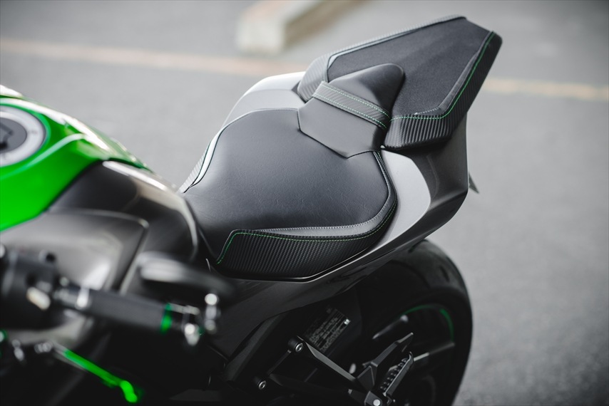 LUIMOTO (ルイモト) Team Kawasaki/リアシートカバー KAWASAKI Z1000
