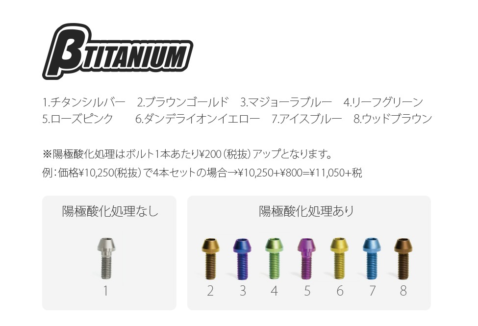 βTITANIUM（ベータチタニウム） YAMAHA XSR900 (16-19) リア