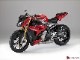 LUIMOTO (�륤���) Motorsports/�ꥢ�����ȥ��С� BMW S1000R 14-18 (2016�����Բ�) 