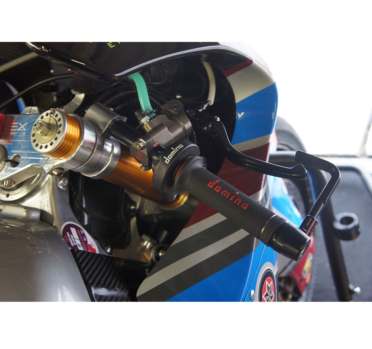 domino ����å� �졼�������ס������ꥢ��������