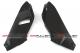 FULLSIX (�ե륷�å���) �ɥ饤�����ܥ��� ���åѡ�����ʡ��ѥͥ륻�å� BMW S1000RR (09-16) 