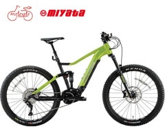 RIDGE-RUNNER i 8080