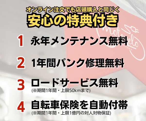 �ں߸˸¤��(25ǯ��ǥ�)����åȡ����롼��R��EX