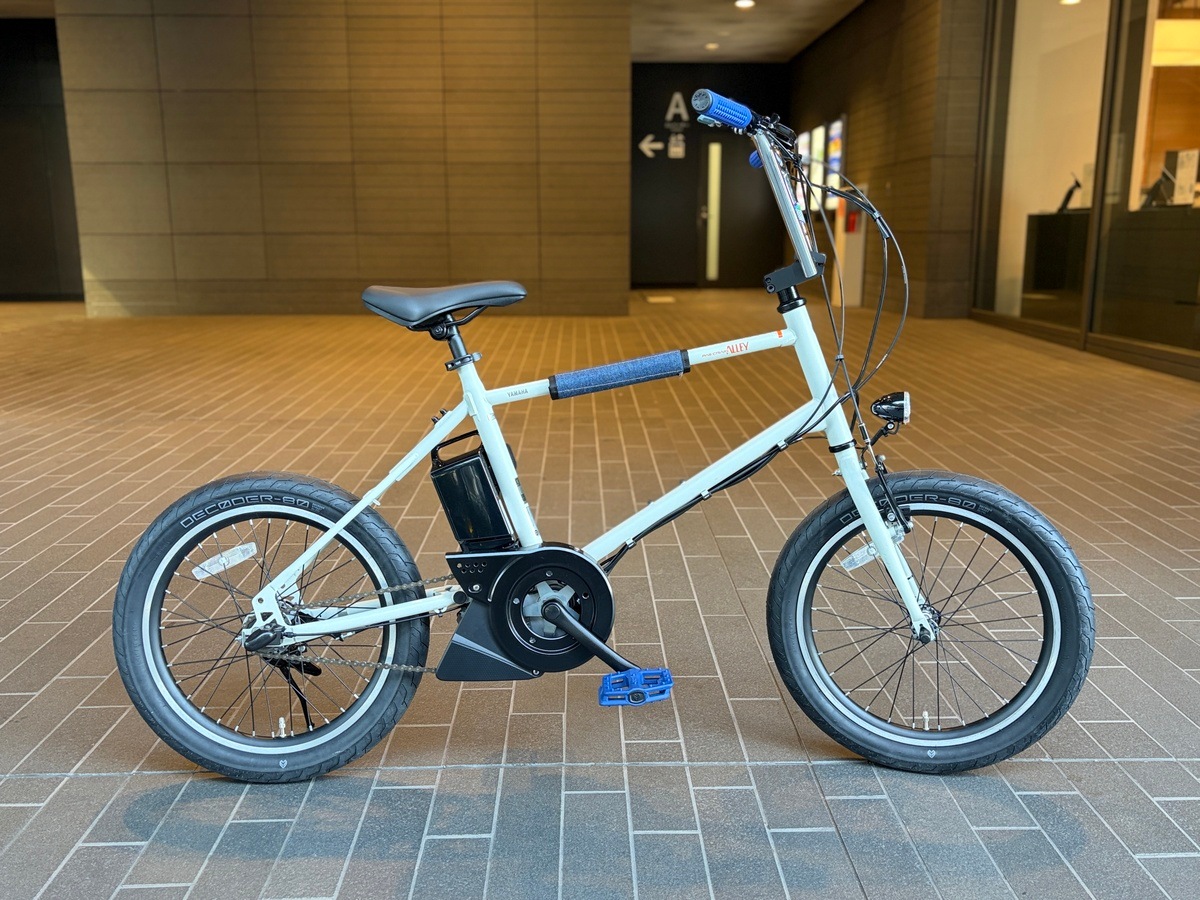 PAS CRAIG ALLEY BMX�������륫������ BLUE