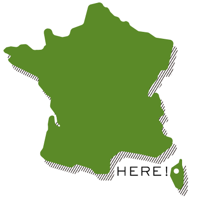 �ɥ᡼�̡����른�ץ�ȥ��֥���������ס����ơ��֥���