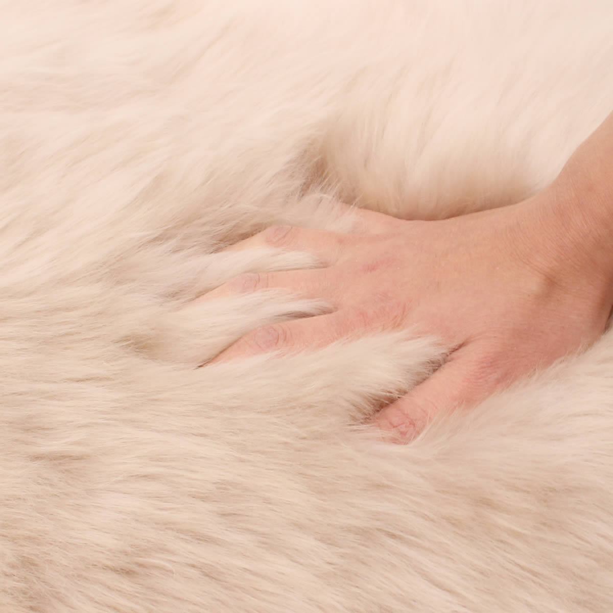 高級ムートンフリースラグ 約1.5匹サイズ（約 70×120 cm程度） 2枚セット