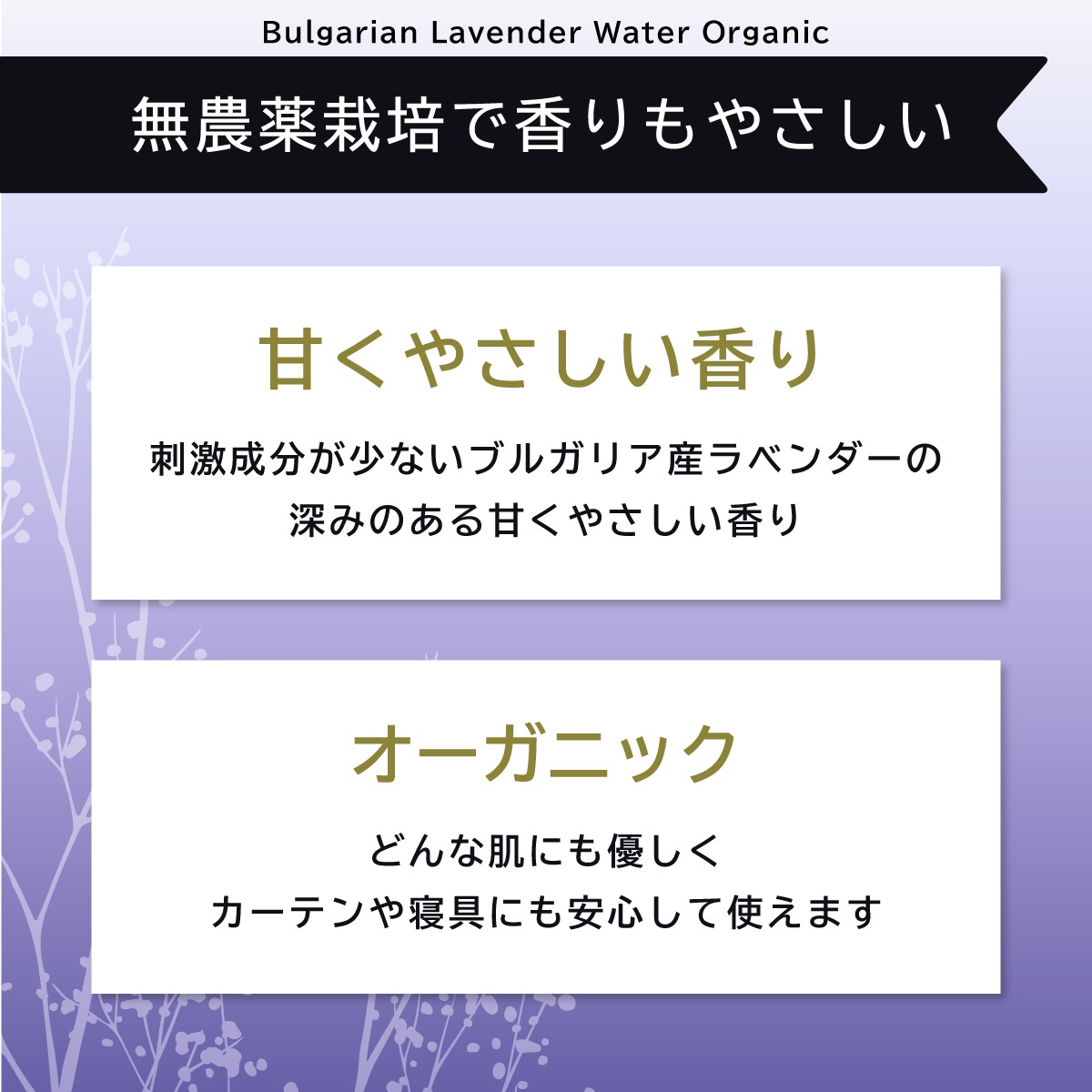 �֥륬�ꥢ�󡡥�٥�����������������������˥å���1000mL