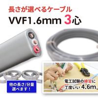 電線ばら売り(全て),電線ばら売り (第2種電気工事士用) | 電気工事士