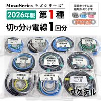 �����ŵ������� �����ڤ�ʬ�����å�(1��ʬ) �⥺���꡼�� 2026ǯ��