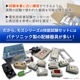 ������ŵ������� ������񥻥å� 2026ǯ�� �⥺���꡼��