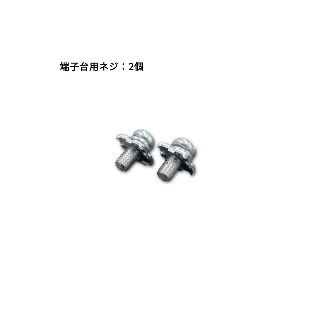 T10TANSHINEJI ü����ͤ� 2�� �ѥȥ饤�� (�����ŵ�) 
