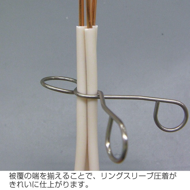 �����̸����ǡ�ʣ���� ���� ��ؤ٤� ������ŵ������� �ۡ�����ġ��륹�ڥ����ѥå� 2026ǯ��