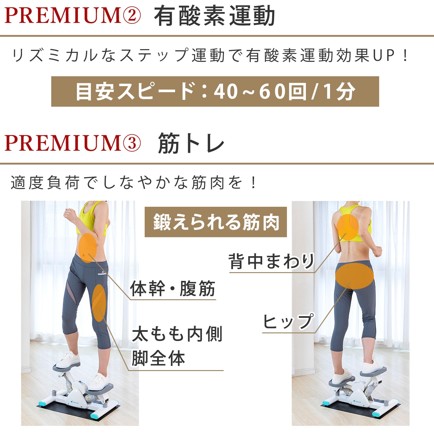 サイドステッパープレミアムライト│DR3863│エアロライフ公式