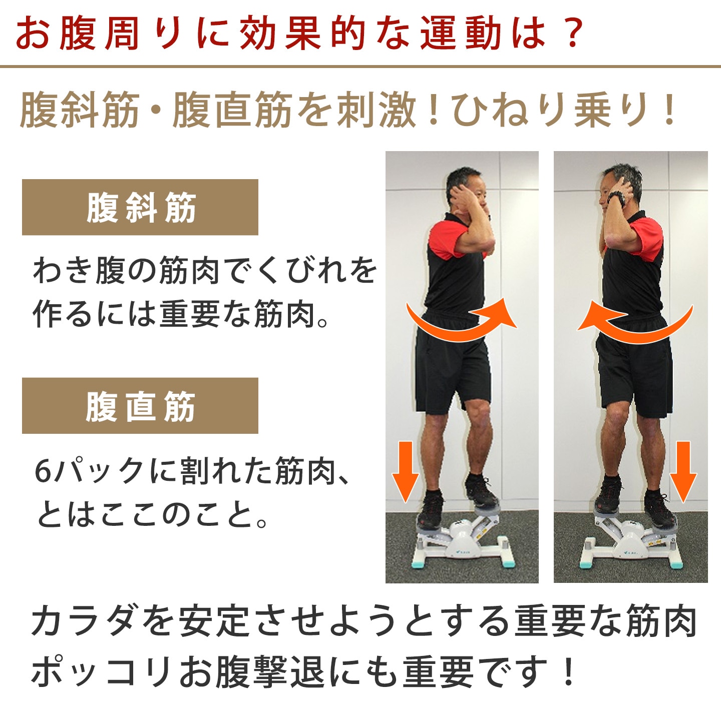 サイドステッパープレミアムライト│DR3863│エアロライフ公式