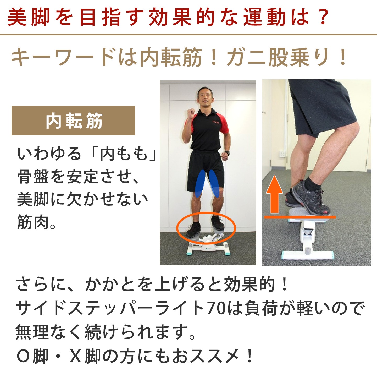 サイドステッパープレミアムライト│DR3863│エアロライフ公式