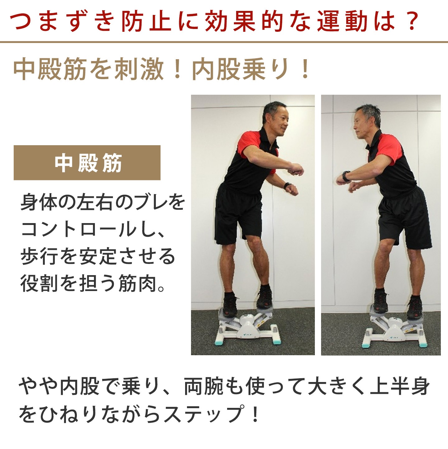 サイドステッパープレミアムライト│DR3863│エアロライフ公式