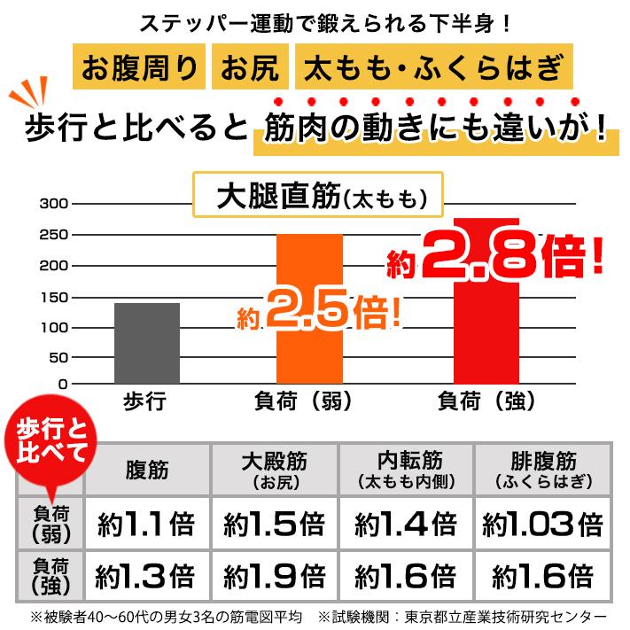 エアロライフ　サイドステッパーTHE MAX 20
