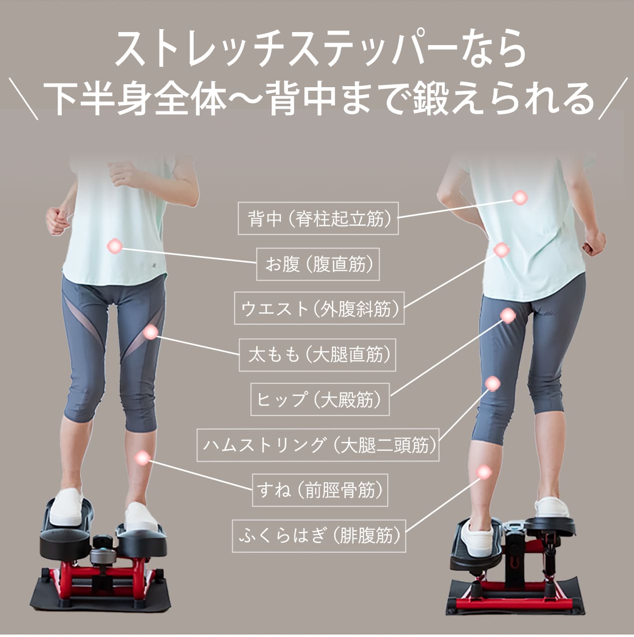 ストレッチステッパー│DR3835│エアロライフ公式