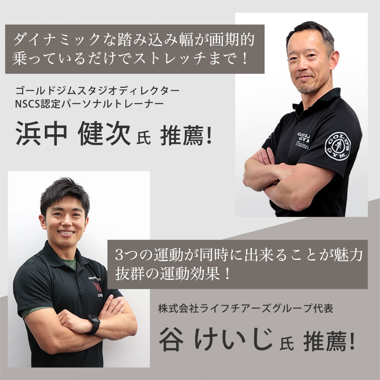 エアロライフ　ストレッチステッパー