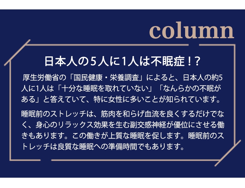 【20％オフクーポン配布中】エアロライフ　プチウェイト（2個セット）