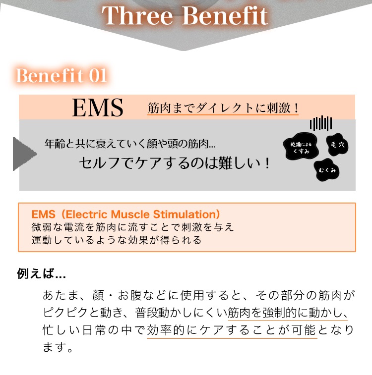 EMSマルチケアブラシ　（3年保証対象外）