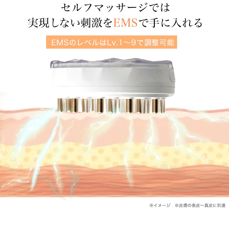 EMSマルチケアブラシ　（3年保証対象外）