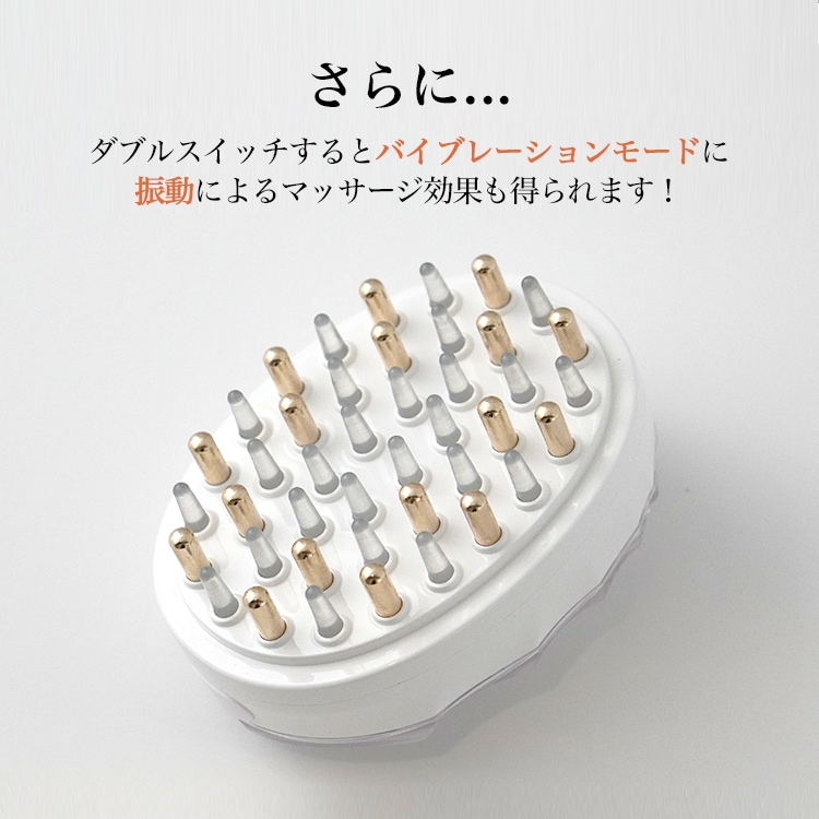 EMSマルチケアブラシ　（3年保証対象外）