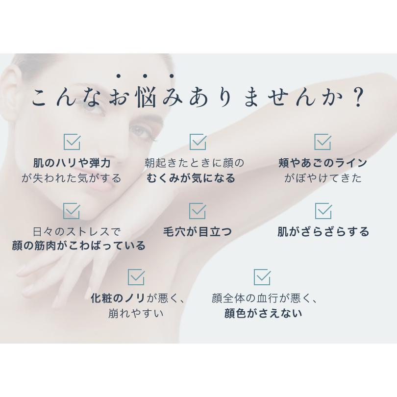 ﾗｲﾌｺｱ T3EGG　（3年保証対象外）