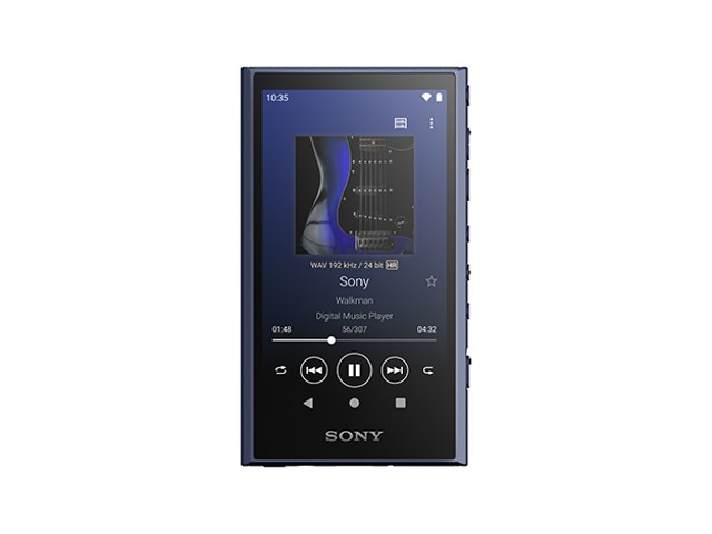 SONY ���������ޥ�A���꡼�� ���꡼������ 64GB ���ȥ꡼�ߥ�WALKMAN �֥롼 NW-A307(L)