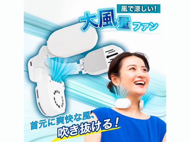 送料込み】THANKO サンコー ネッククーラーAir W冷却 ブラック TKNC23S