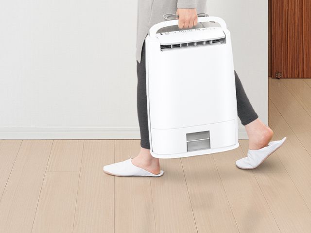Panasonic パナソニック デシカント方式 衣類乾燥除湿機 マット