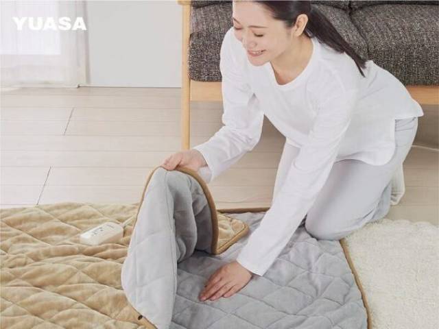 【送料込み】ユアサプライムス ホットマット 120×90cm ポケ暖 電気マット YYB-P55E(C) 